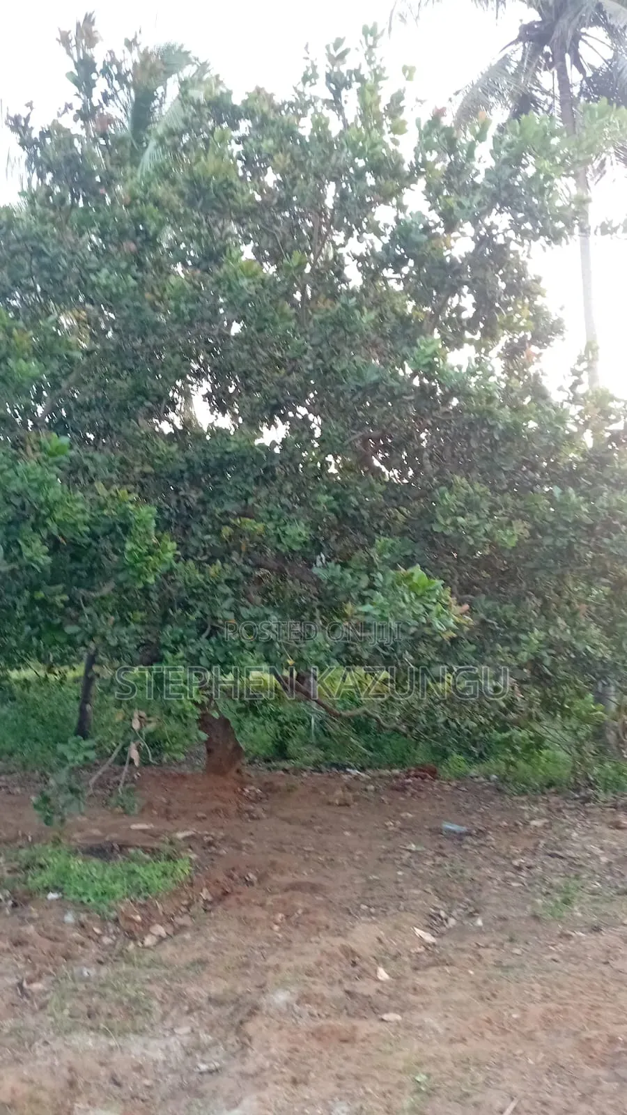 1/2 Acre Plot at Ganja La Simba Near Kinondo/Mwabungo Town Centres. in Ukunda