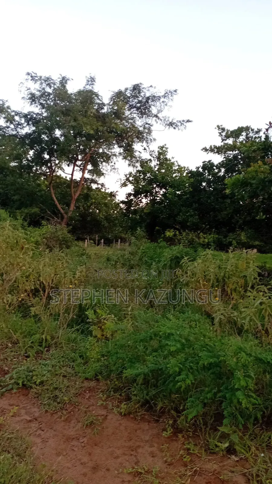 1/2 Acre Plot at Ganja La Simba Near Kinondo/Mwabungo Town Centres. in Ukunda