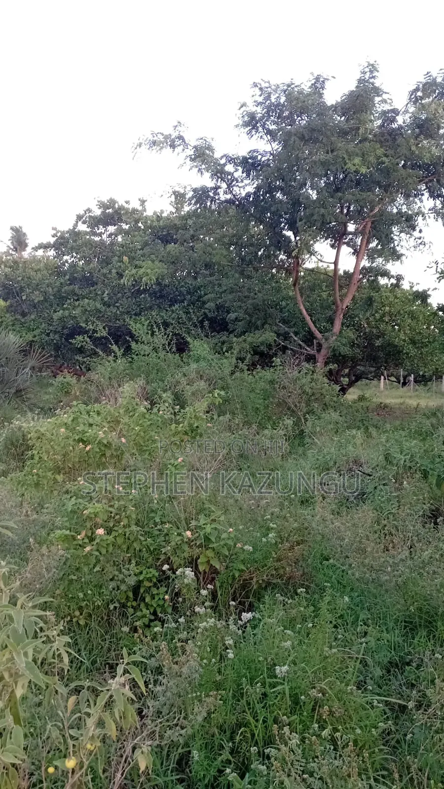 1 Acre Plot on Sale at Ganja La Simba Near Kinondo/Mwabungo Areas. in Ukunda