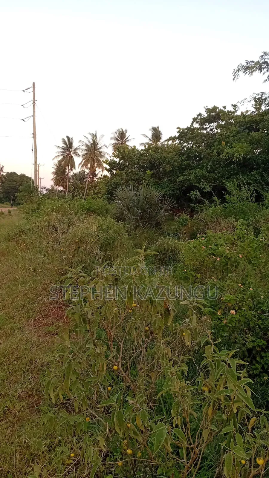 1 Acre Plot on Sale at Ganja La Simba Near Kinondo/Mwabungo Areas. in Ukunda