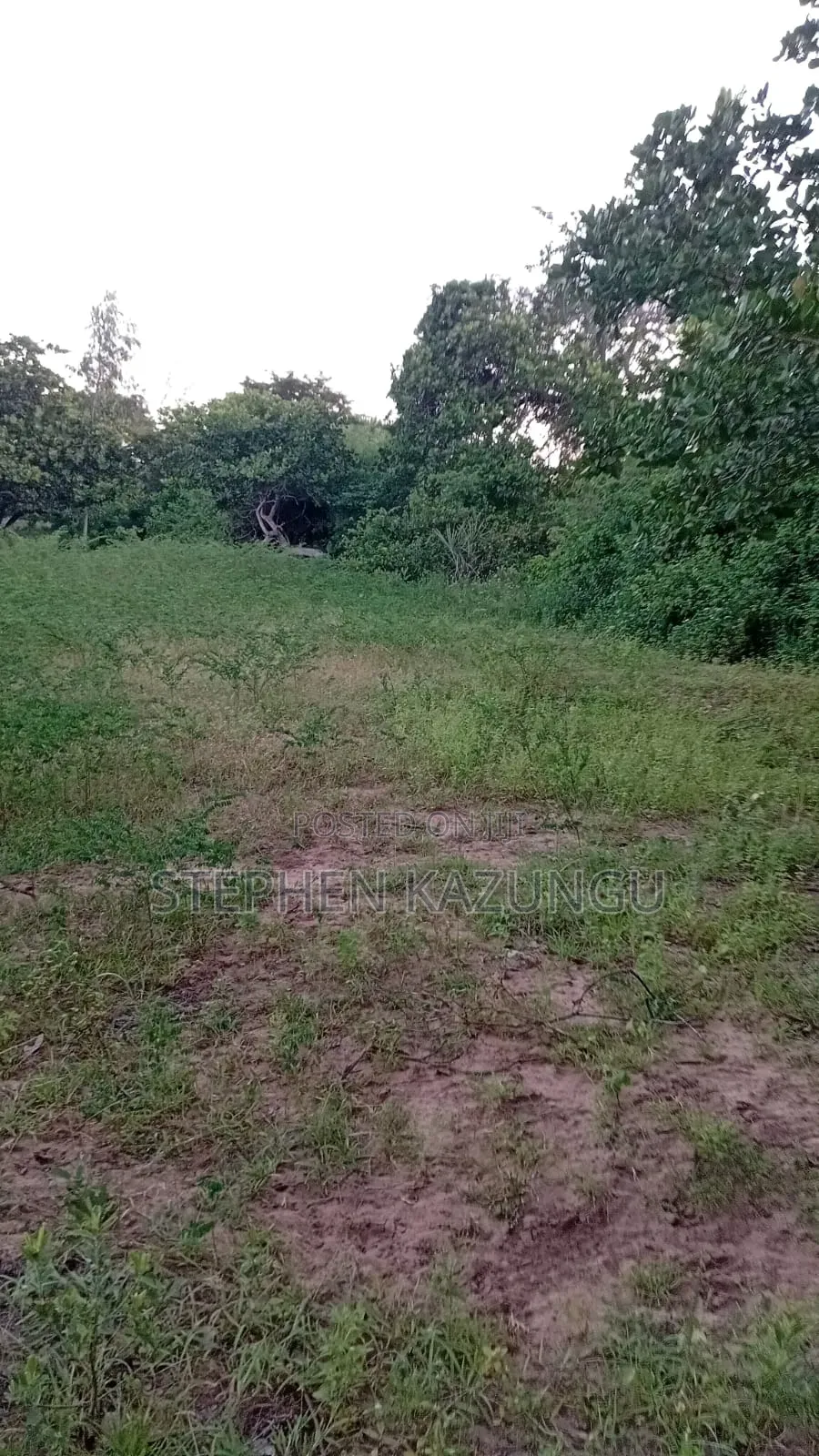 1 Acre Plot on Sale at Ganja La Simba Near Kinondo/Mwabungo Areas. in Ukunda