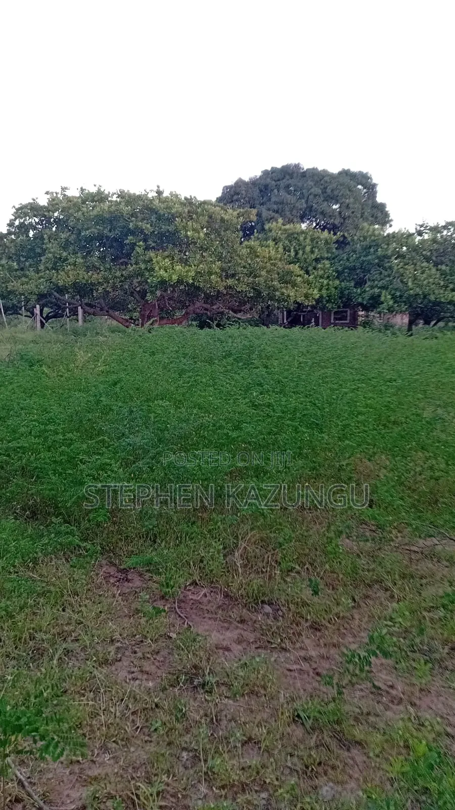 1 Acre Plot on Sale at Ganja La Simba Near Kinondo/Mwabungo Areas. in Ukunda
