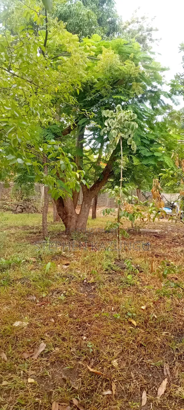1 Acre Plot on Sale at Ganja La Simba Near Kinondo/Mwabungo Areas. in Ukunda