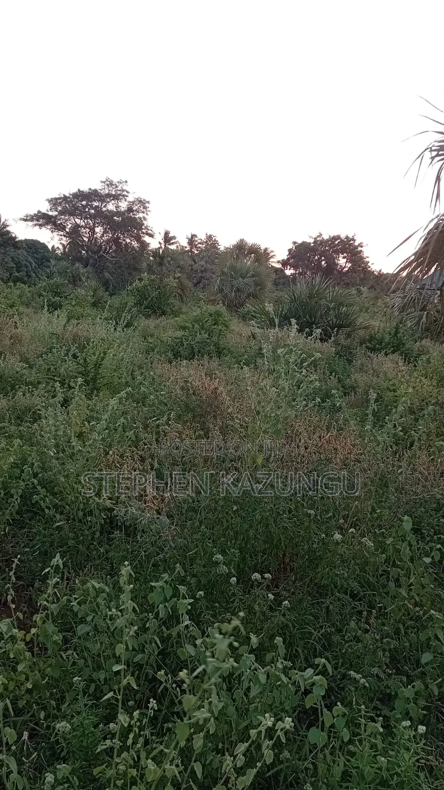 1/4 Acre Plot at Ganja La Simba Near the Road, and Close to Kinondo. in Ukunda