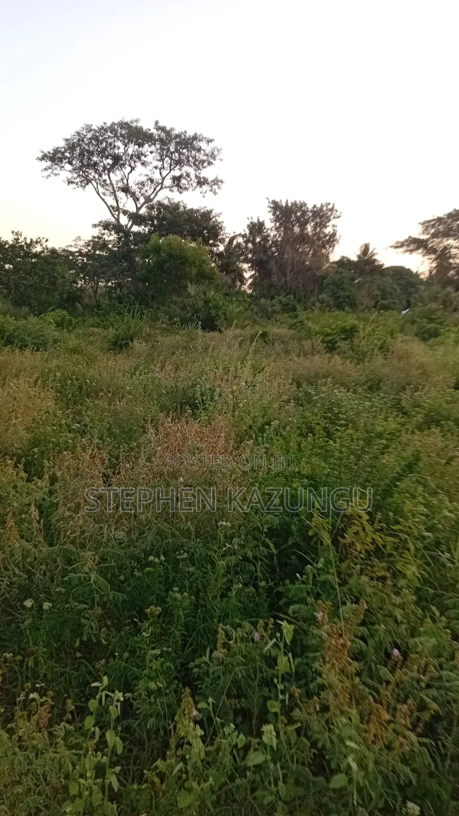 1/4 Acre Plot at Ganja La Simba Near the Road, and Close to Kinondo. in Ukunda