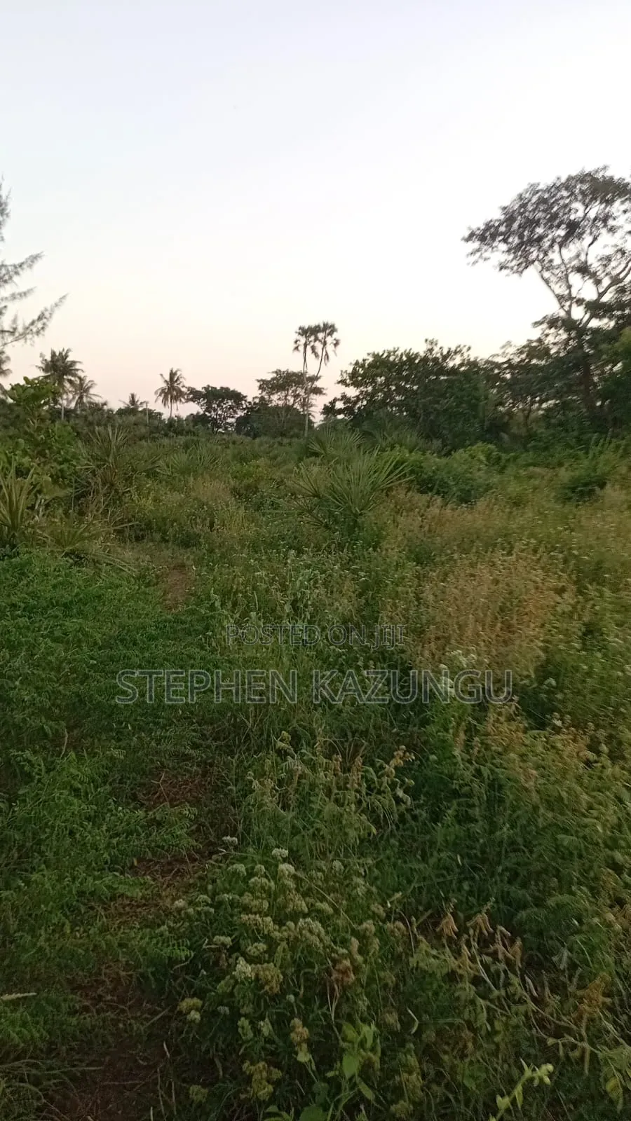 1/4 Acre Plot at Ganja La Simba Near the Road, and Close to Kinondo. in Ukunda