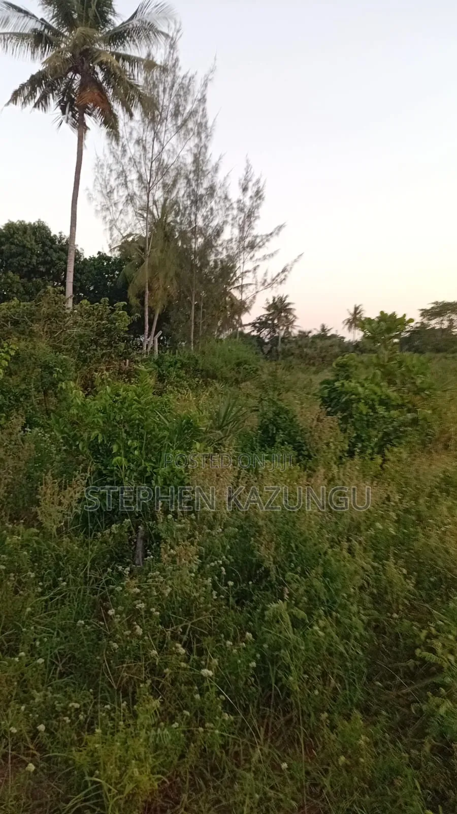 1/4 Acre Plot at Ganja La Simba Near the Road, and Close to Kinondo. in Ukunda