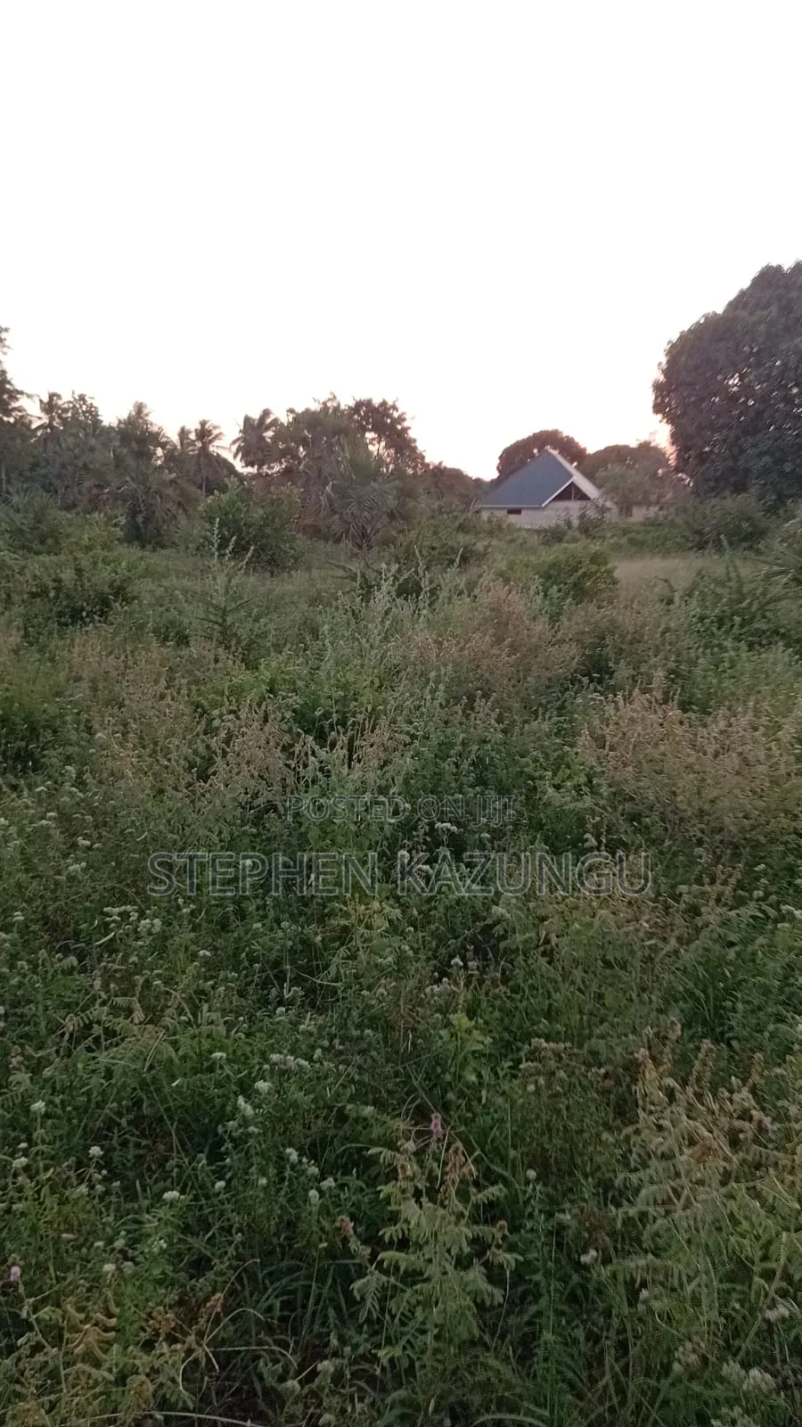 1/4 Acre Plot at Ganja La Simba Near the Road, and Close to Kinondo. in Ukunda