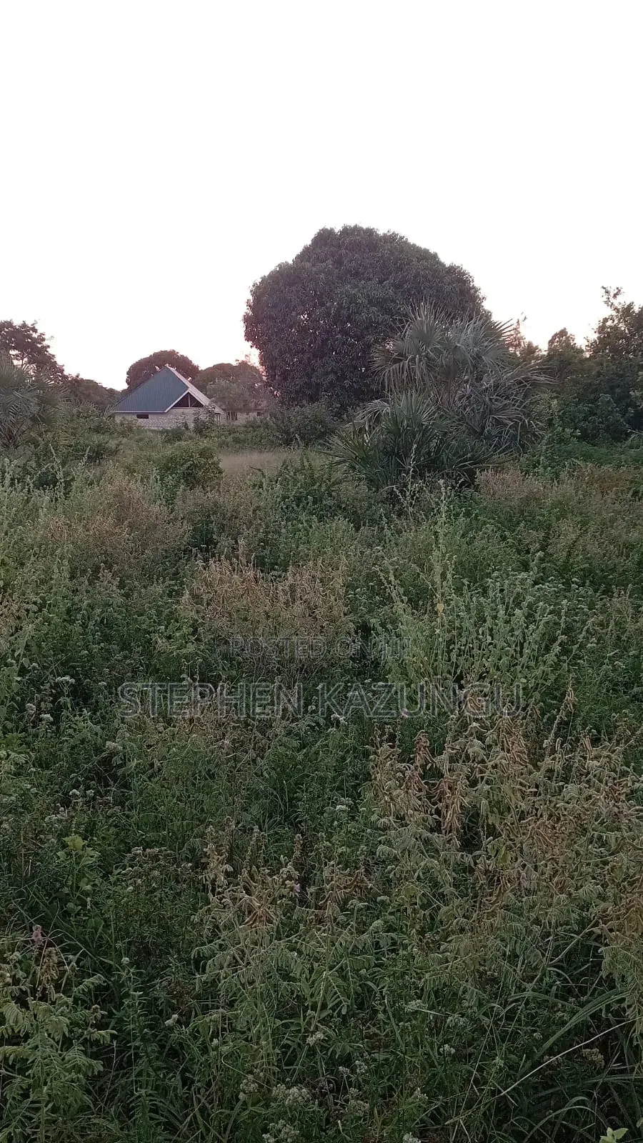1/2 Acre Plot at Ganja La Simba Near to Kinondo/Mwabungo Towns in Ukunda