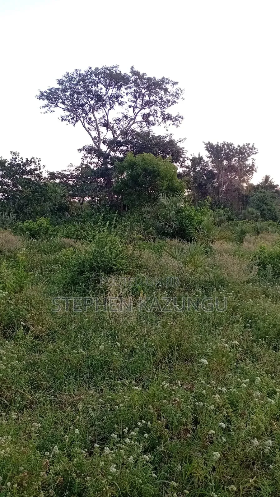 1/2 Acre Plot at Ganja La Simba Near to Kinondo/Mwabungo Towns in Ukunda