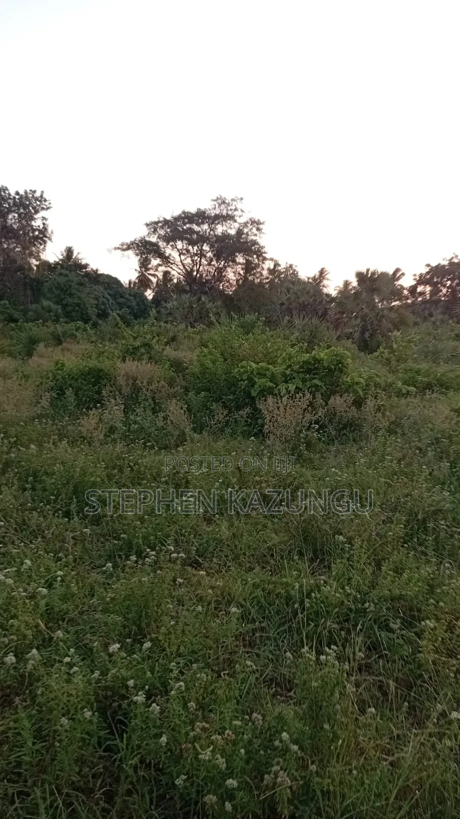 1/2 Acre Plot at Ganja La Simba Near to Kinondo/Mwabungo Towns in Ukunda