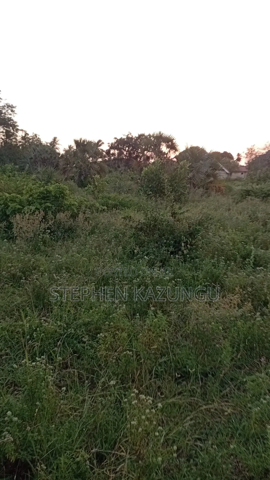 1/2 Acre Plot at Ganja La Simba Near to Kinondo/Mwabungo Towns in Ukunda