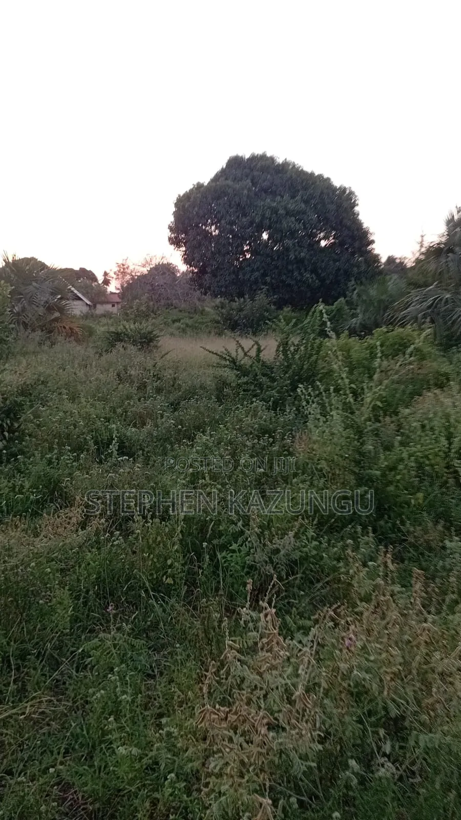 1/2 Acre Plot at Ganja La Simba Near to Kinondo/Mwabungo Towns in Ukunda