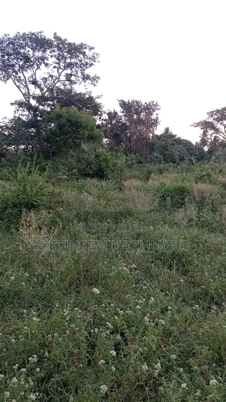 1 Acre Plot at Ganja La Simba, Close to the Road and Good Essentials in Ukunda
