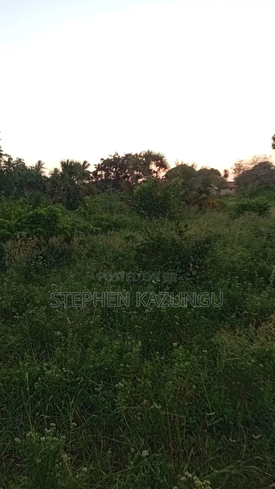 1 Acre Plot at Ganja La Simba, Close to the Road and Good Essentials in Ukunda
