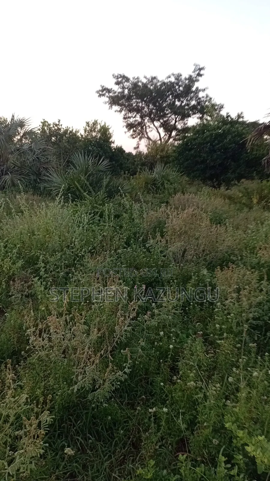 1 Acre Plot at Ganja La Simba, Close to the Road and Good Essentials in Ukunda