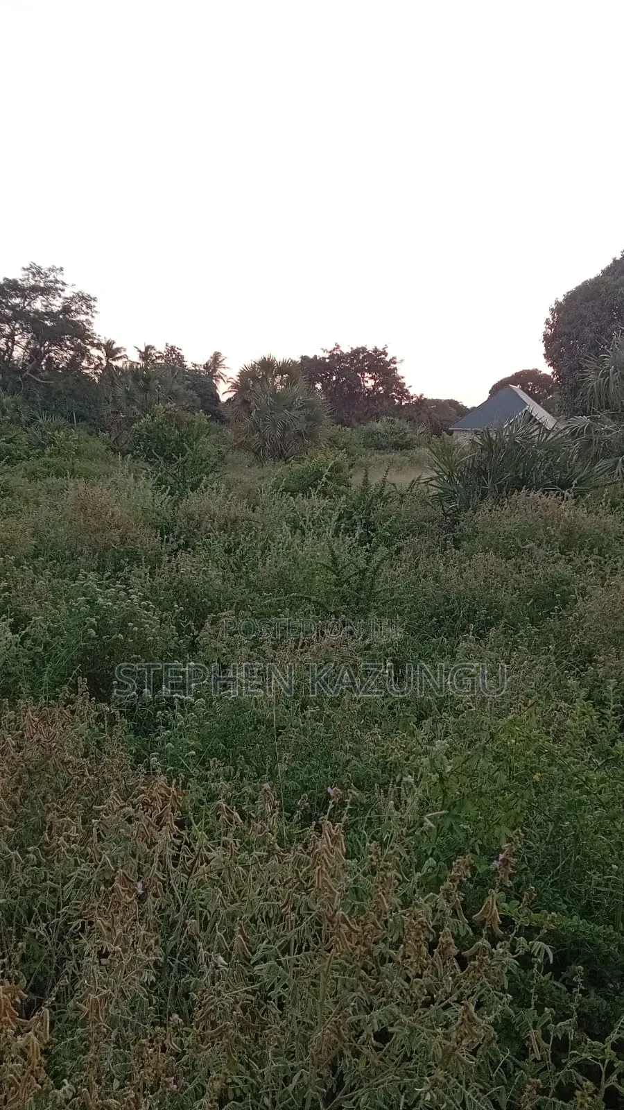 1 Acre Plot at Ganja La Simba, Close to the Road and Good Essentials in Ukunda