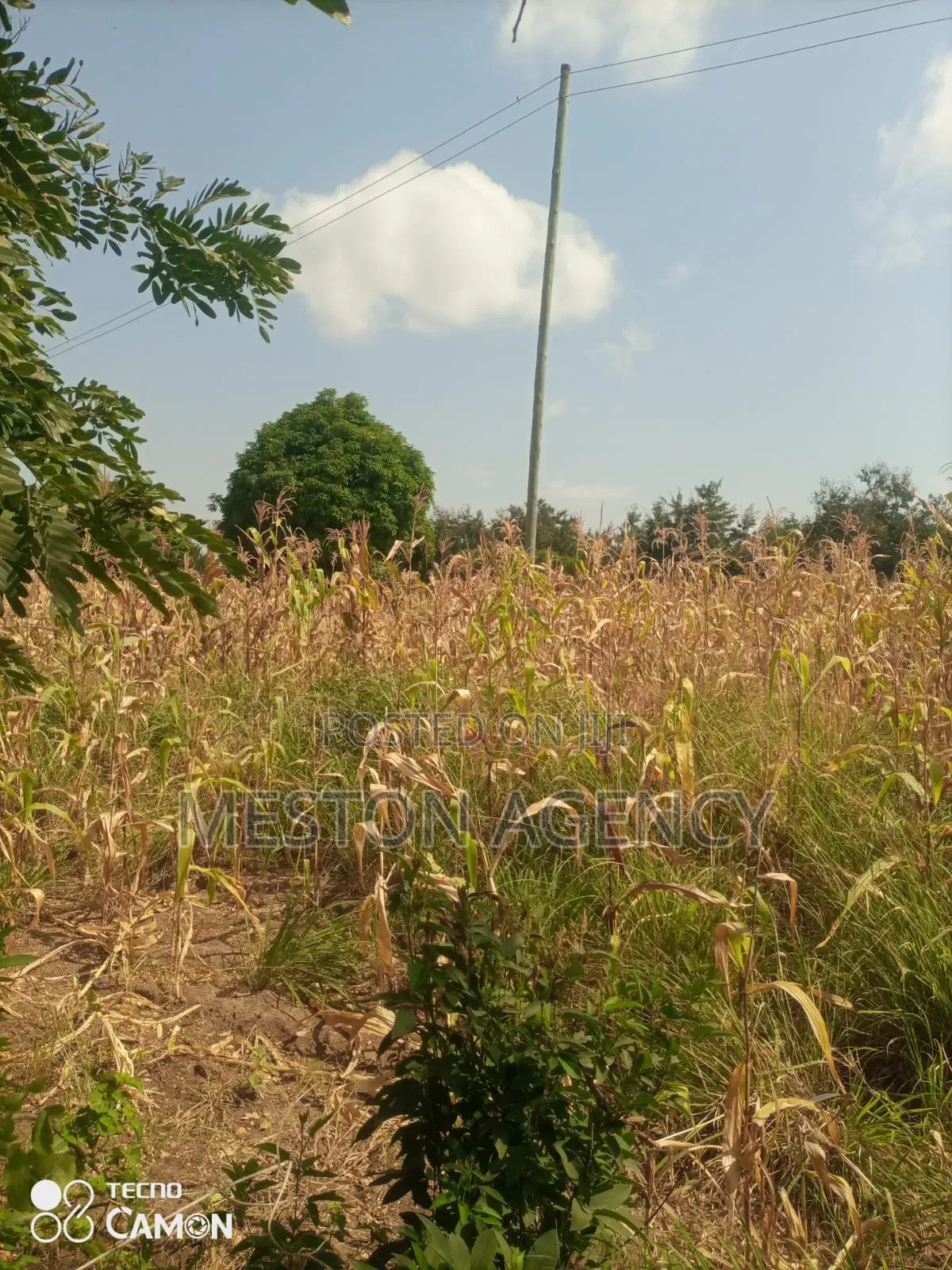 Half Acre Embu Makutano Junction Quick Sale in Makutano