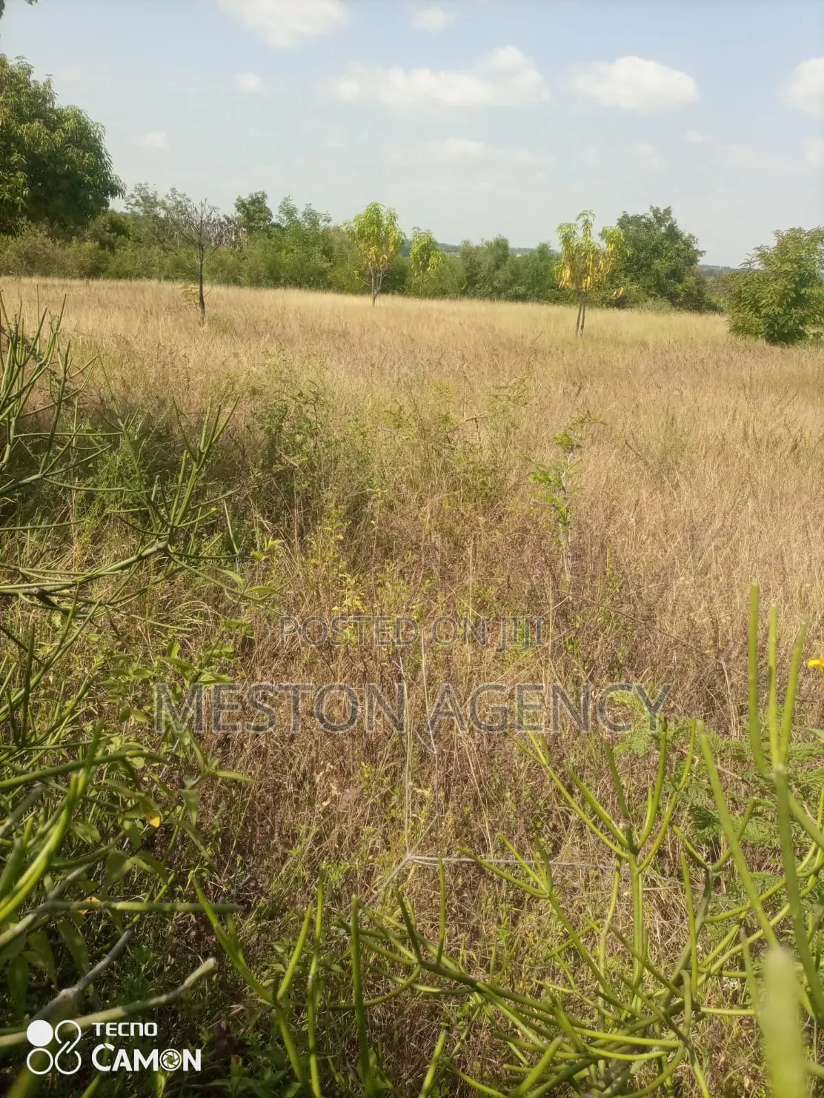 Half Acre Embu Makutano Junction Quick Sale in Makutano