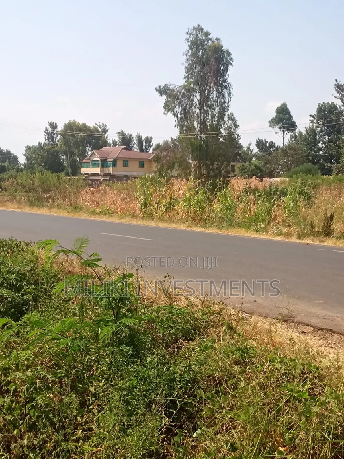 Half an Acre on Sale at Kirinyaga -Kandongu in Kerugoya