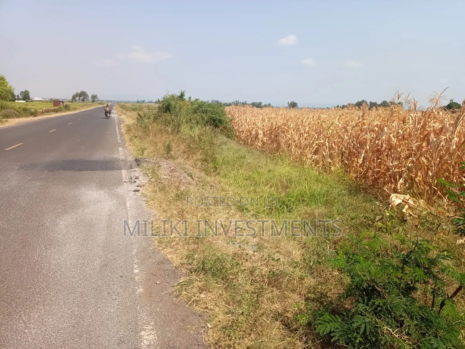 Half an Acre on Sale at Kirinyaga -Kandongu in Kerugoya