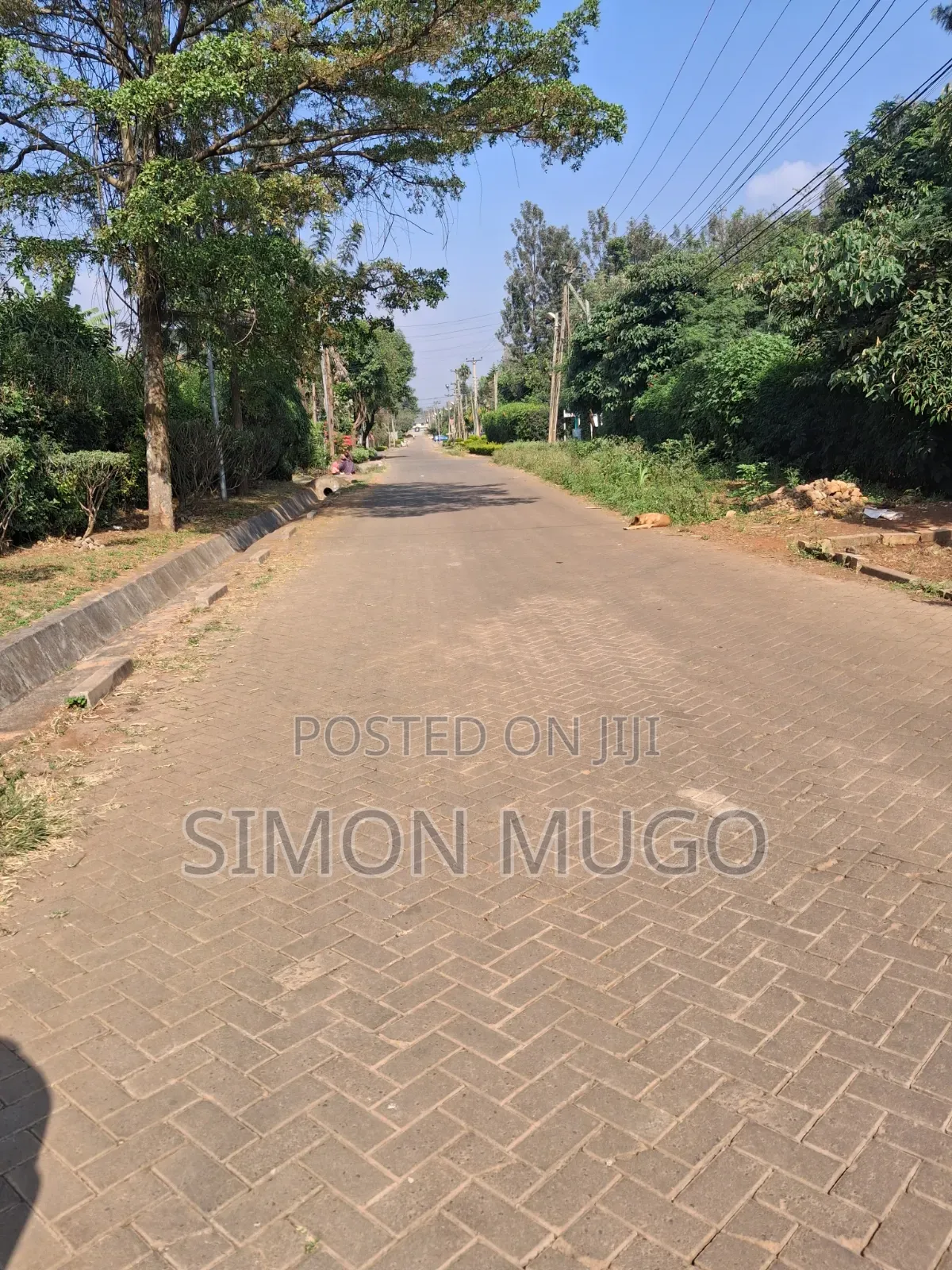 Thome 1 Estate Prime Well Drained Red Soil 1/2 Ac on Mugumoini Ave. in Thome