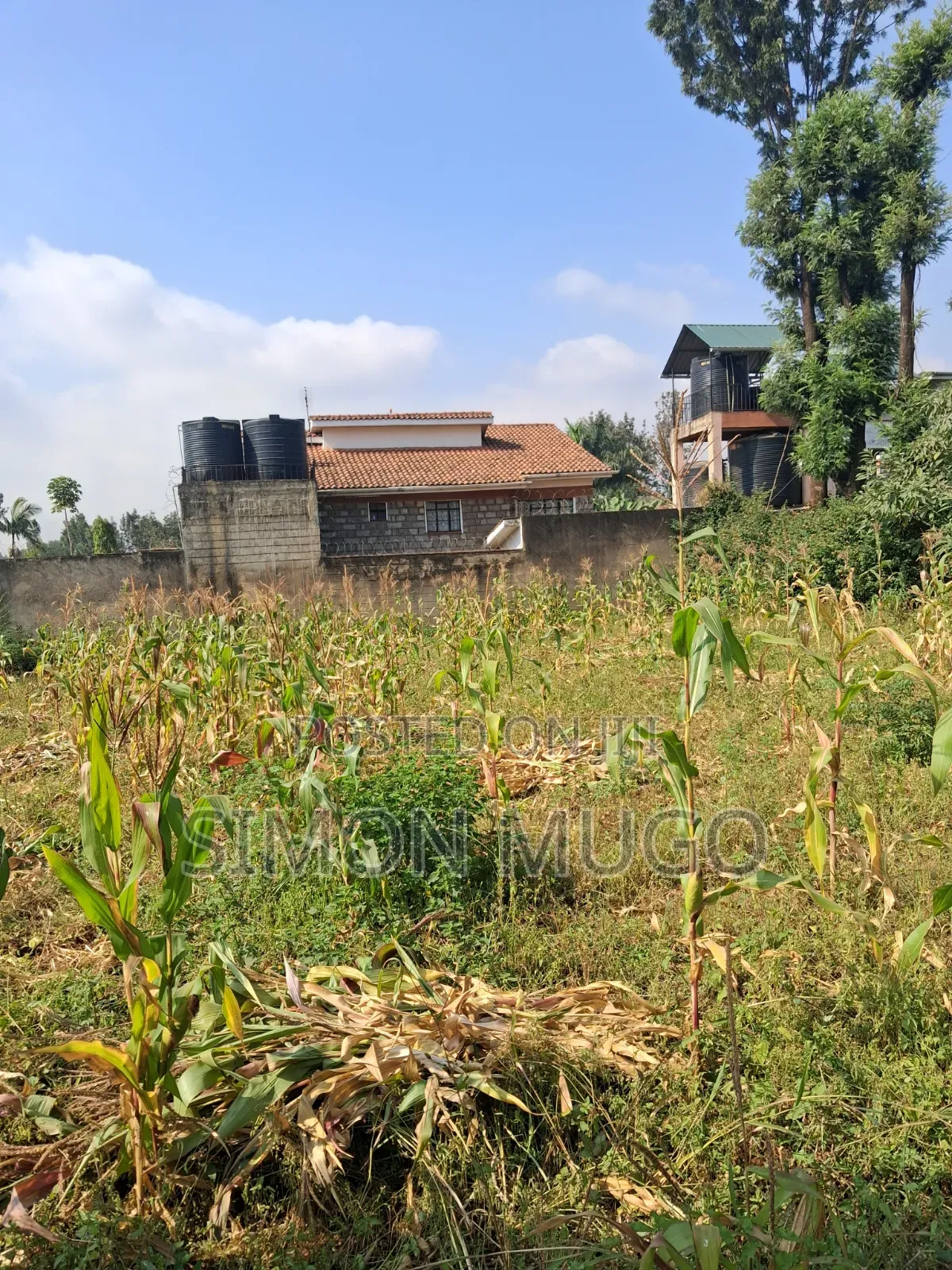 Thome 1 Estate Prime Well Drained Red Soil 1/2 Ac on Mugumoini Ave. in Thome