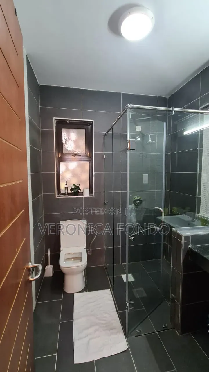 Furnished 1bdrm Apartment in The Enclave, State House Area for rent in State House Area