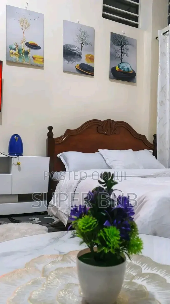 Furnished Studios 1 Bedroom Airbnb in Juja Available in Gate B