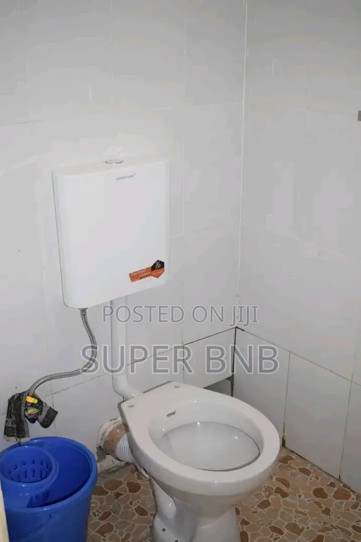 Studio Airbnb Nyeri Town and 2 Bedroom Apartments in Gatitu