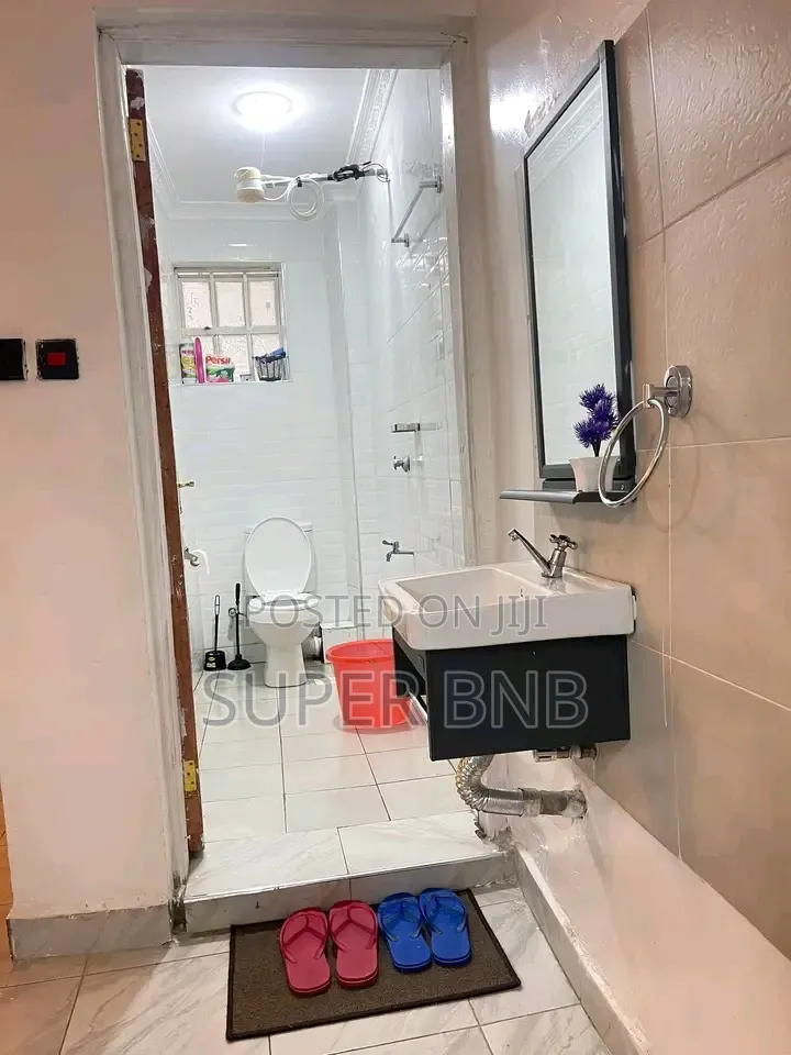 Furnished Apartments Airbnb Luxury in 1 2 Bedroom in Nairobi Central