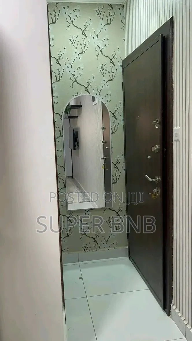 Furnished 1bdrm Apartment in Hotel 67 Area for rent in Hotel 67 Area