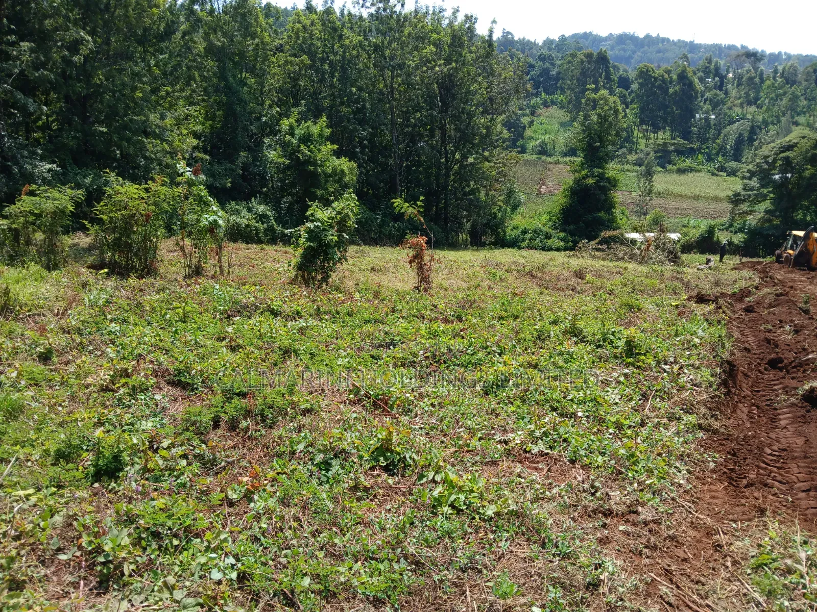 Distress! Very Prime 100 by 100 Plot in a Gated Estate, Matasia,Ngong in Matasia