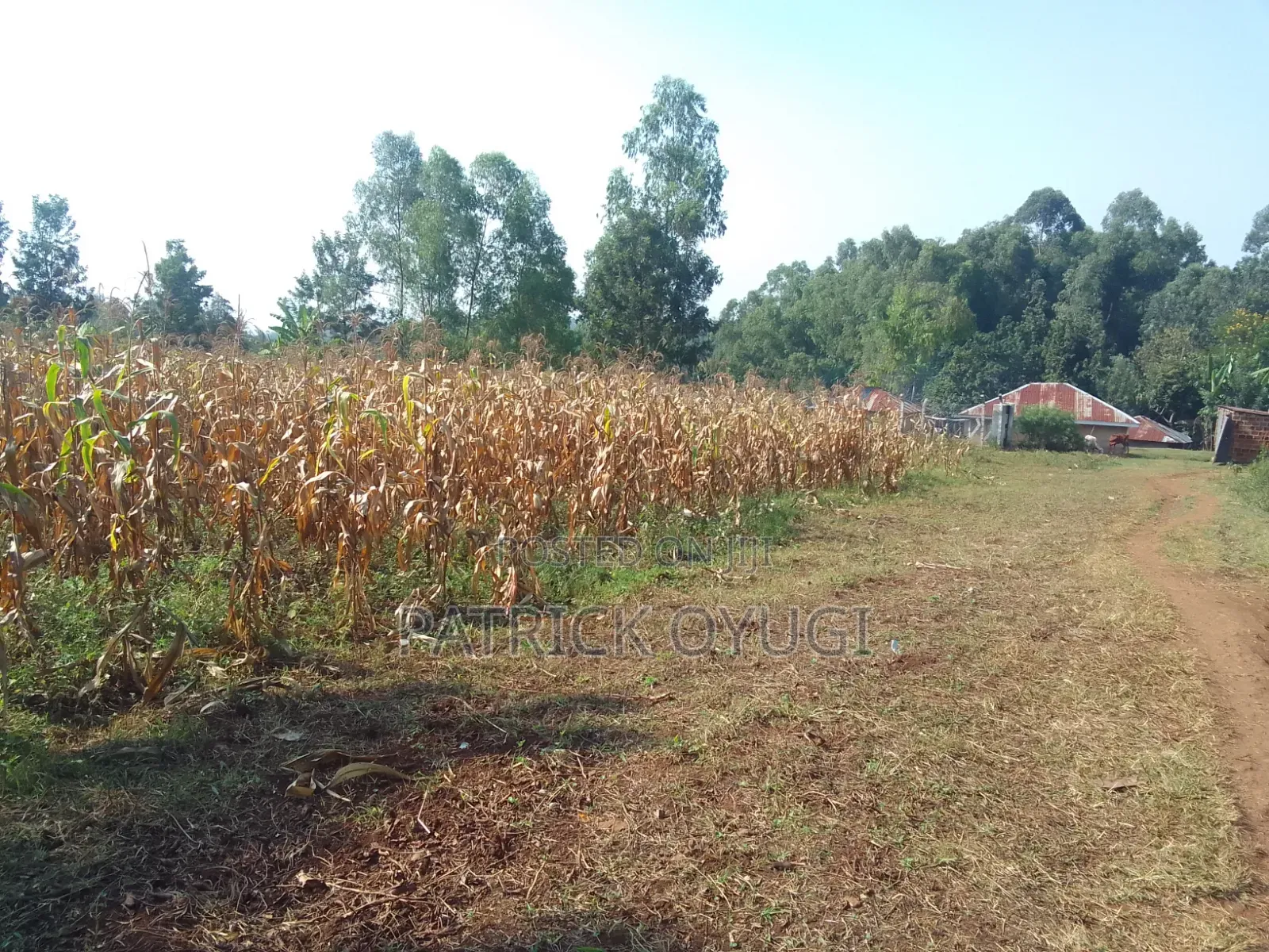 An Acre Freehold Land in Kisumu Behind Royal Swiz Hotel in North Kisumu