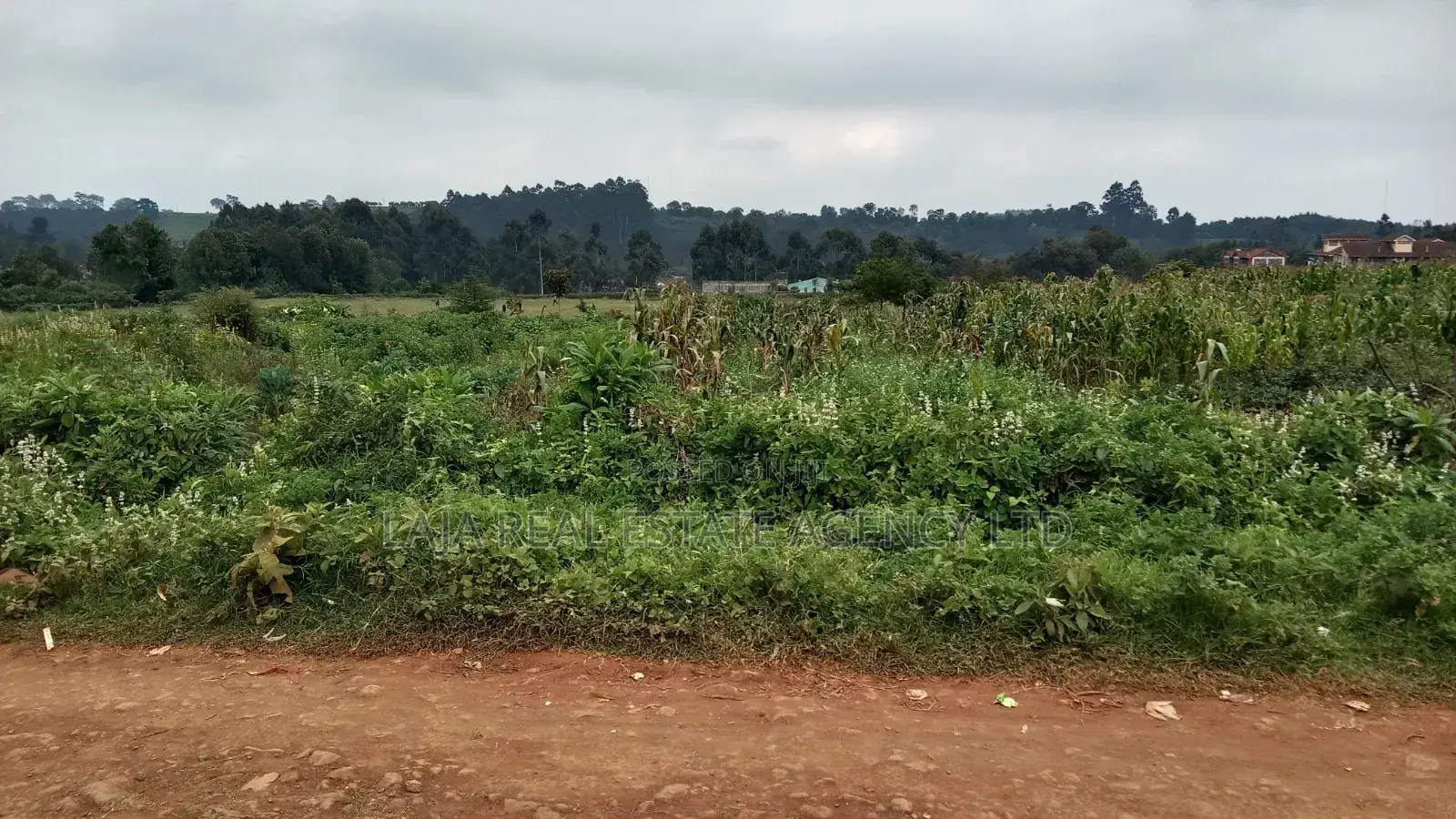 Plot to Sell,Limuru in Limuru CBD