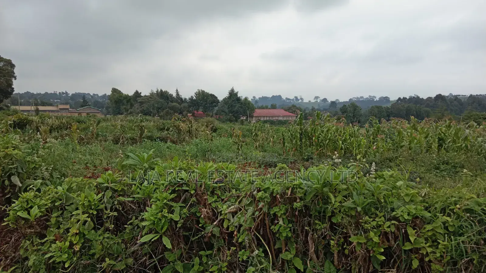 Plot to Sell,Limuru in Limuru CBD