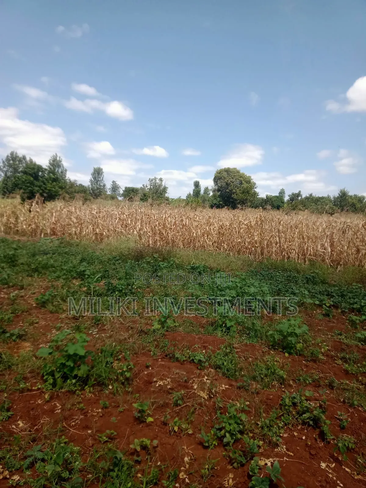 2 Acres of Land on Sale at Murang'a -Kambirwa in Mbiri