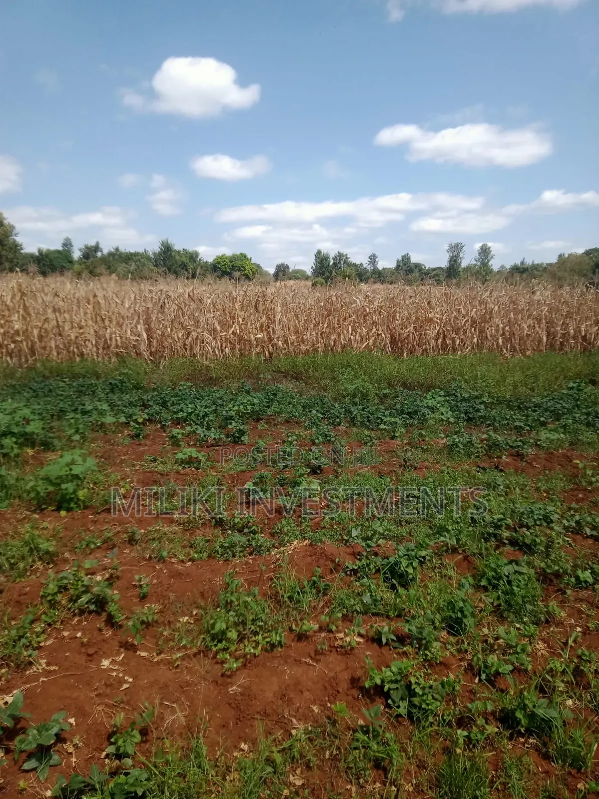 2 Acres of Land on Sale at Murang'a -Kambirwa in Mbiri
