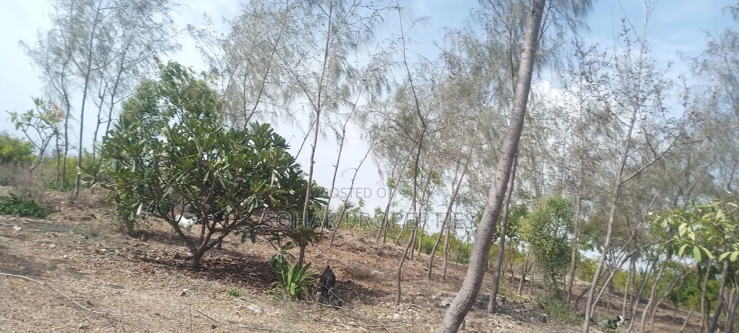 Beach Plots on Sale in Malindi in Malindi