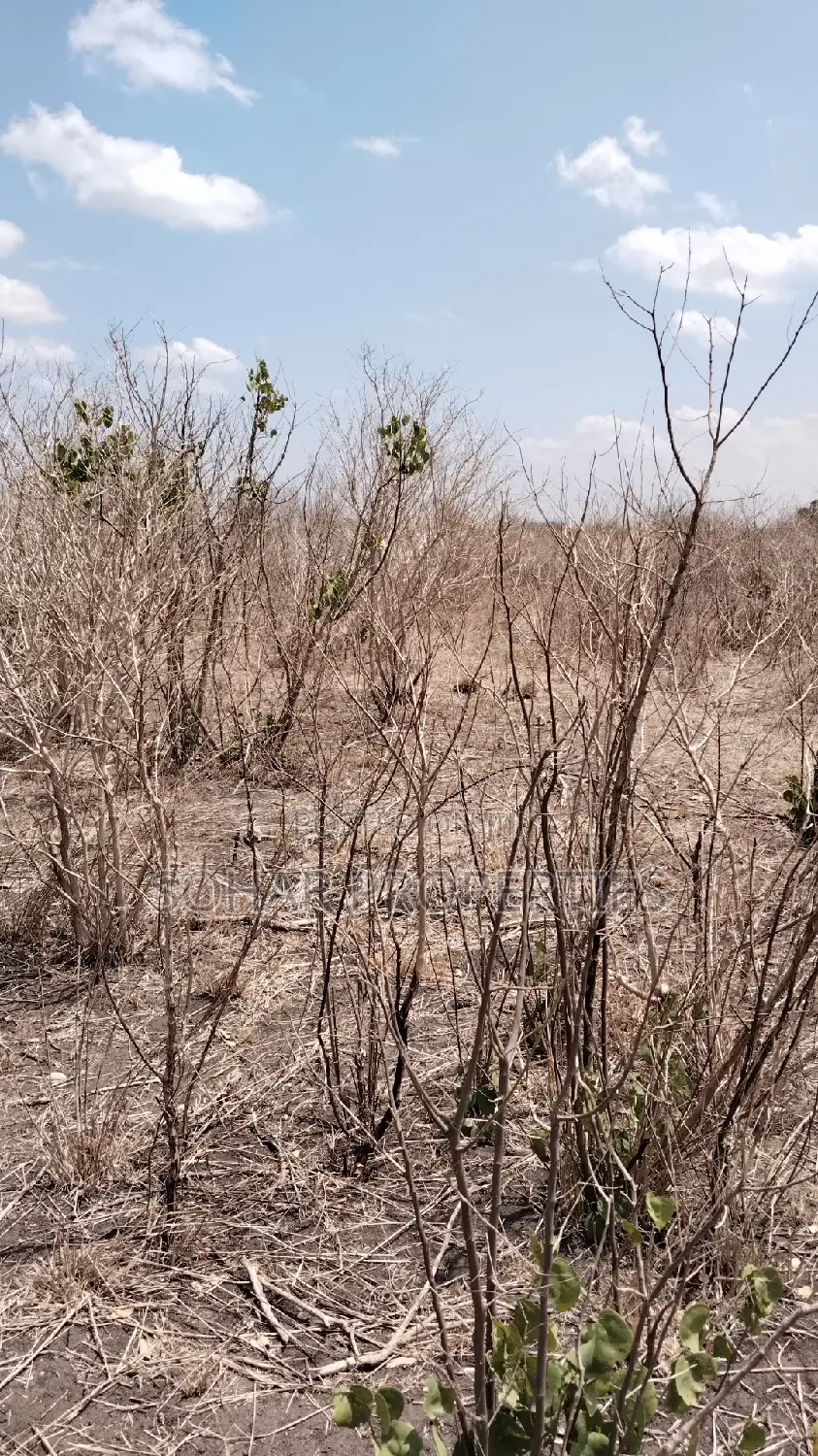Farm Land for Sale in Malindi in Malindi