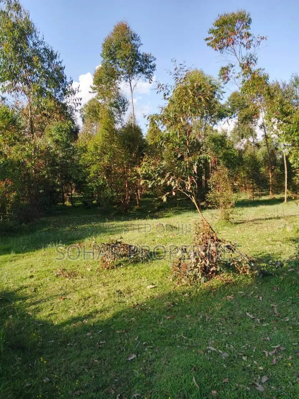 7.5 Acres Prime Agricultural Land in Nyandarua, Njabini on Sale in NjabiniKiburu
