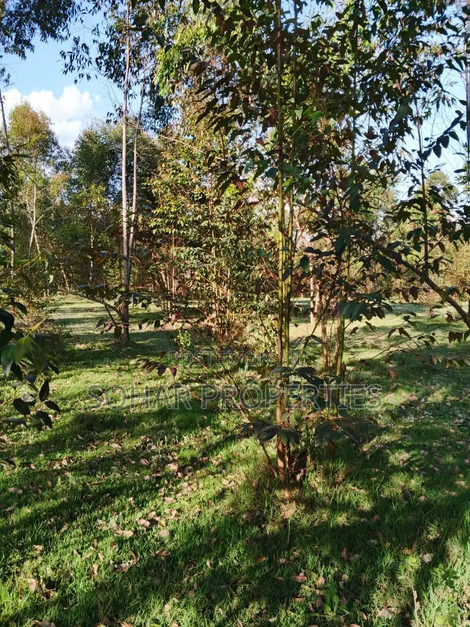 7.5 Acres Prime Agricultural Land in Nyandarua, Njabini on Sale in NjabiniKiburu