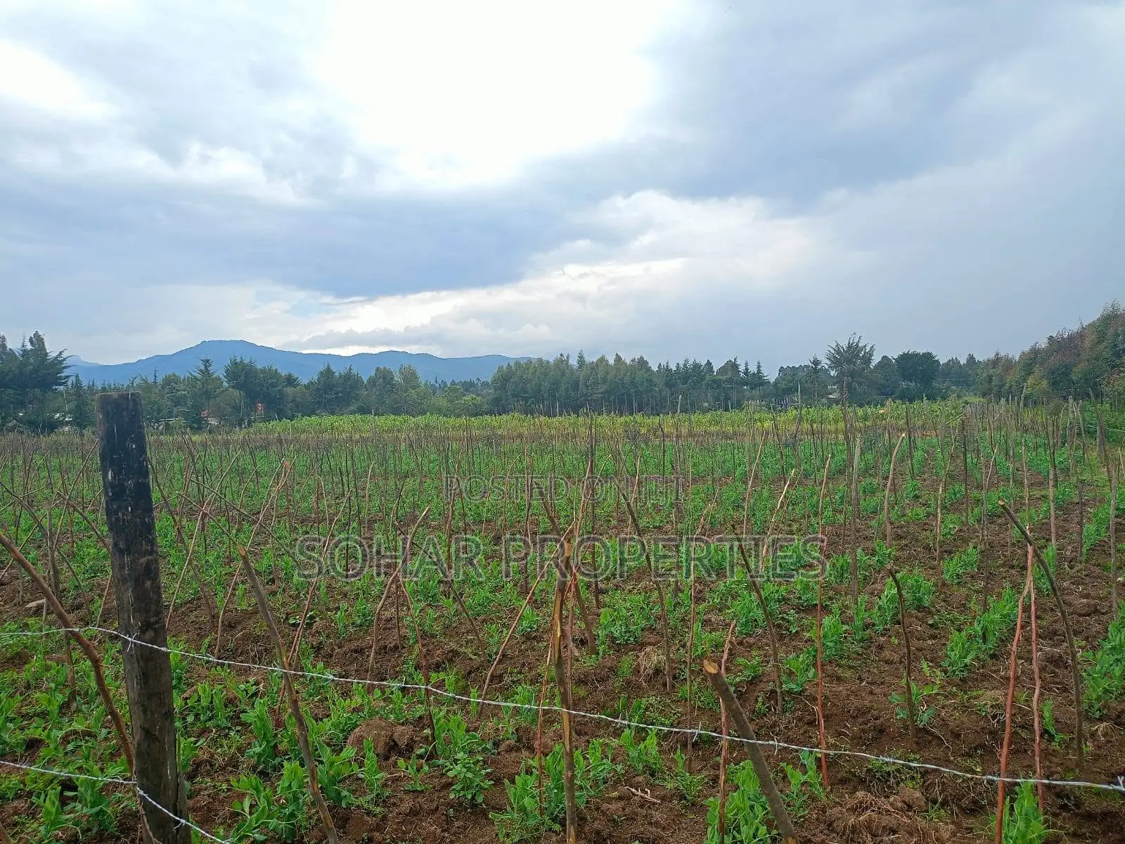 10 Acres Prime Agricultural Land on Sale in Nyandarua, Engineer in Engineer