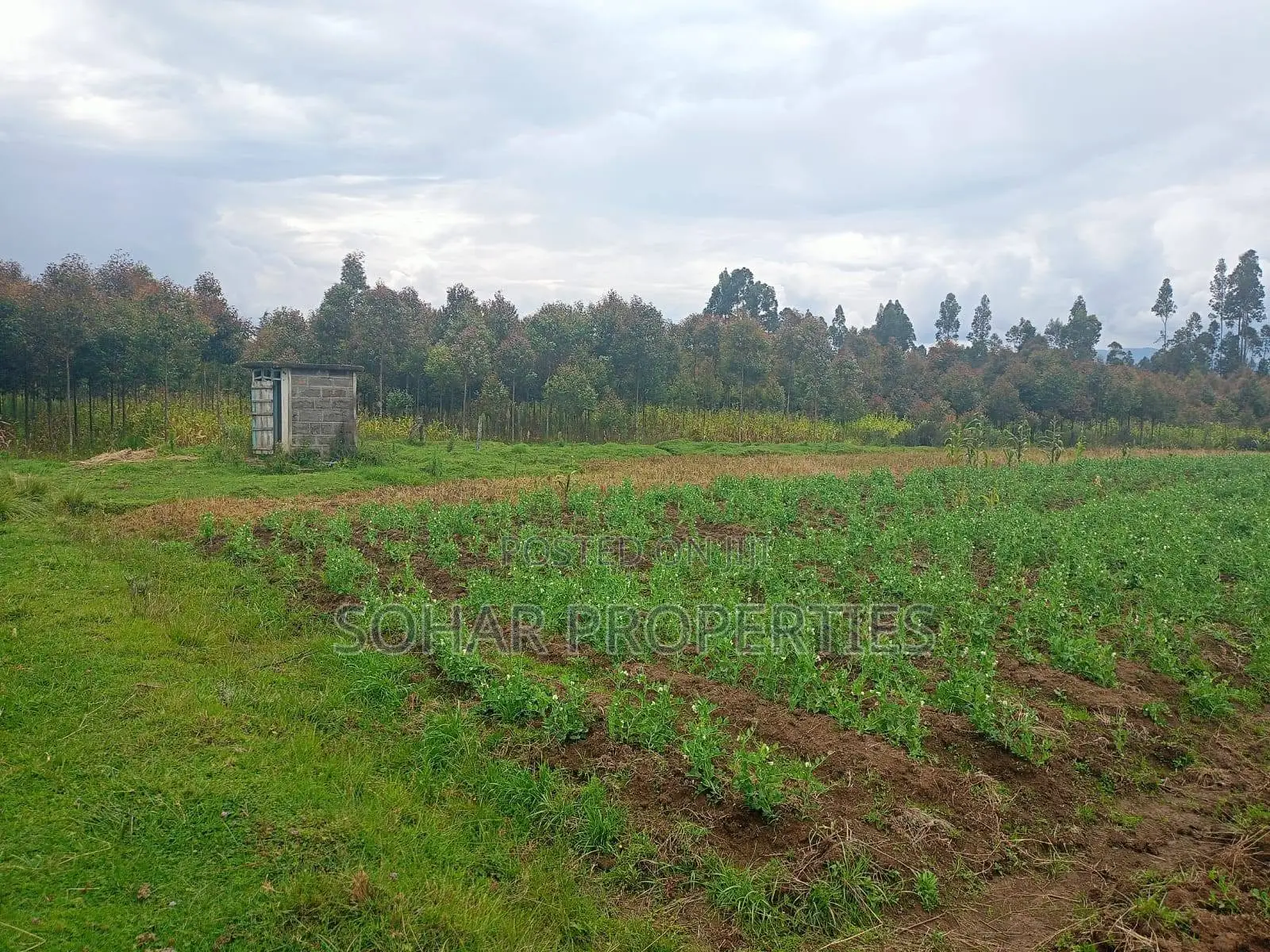 10 Acres Prime Agricultural Land on Sale in Nyandarua, Engineer in Engineer