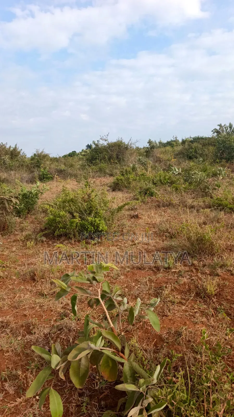 Land for Sell in Matuu