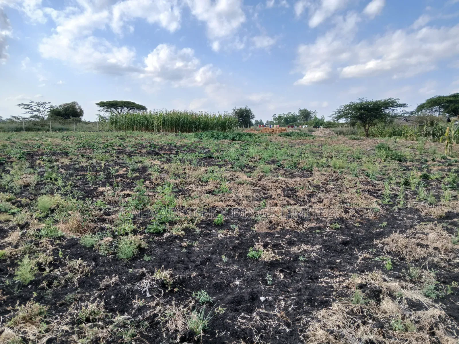 Very Prime Acre 100 Metres Off Kiseria-Isinya Tarmac Near Dawamu SCH in Kiserian