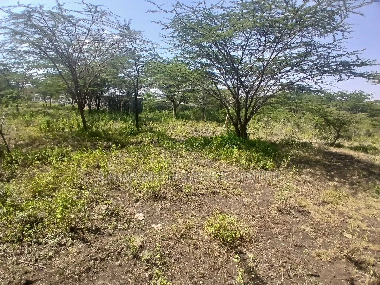 2 Prime Acre on Sale in Rimpa, Ongata Rongai 300 Metres Off Tarmac in Rimpa