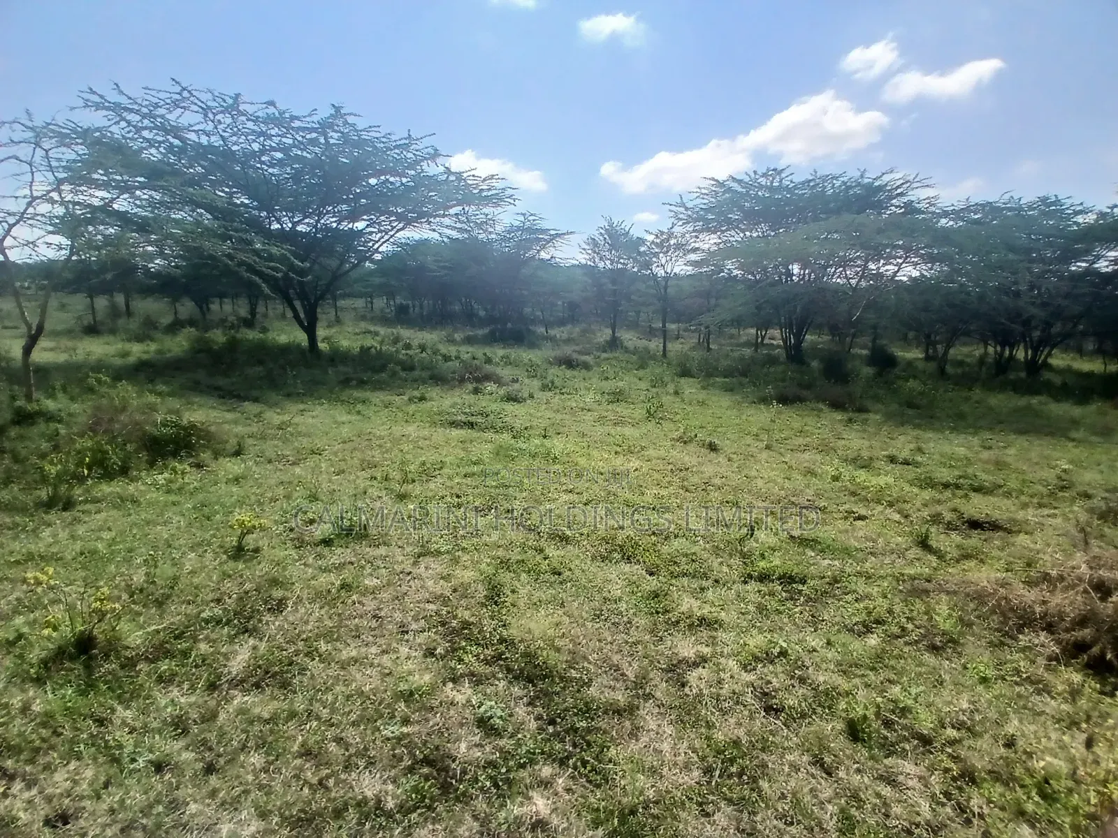 2 Prime Acre on Sale in Rimpa, Ongata Rongai 300 Metres Off Tarmac in Rimpa
