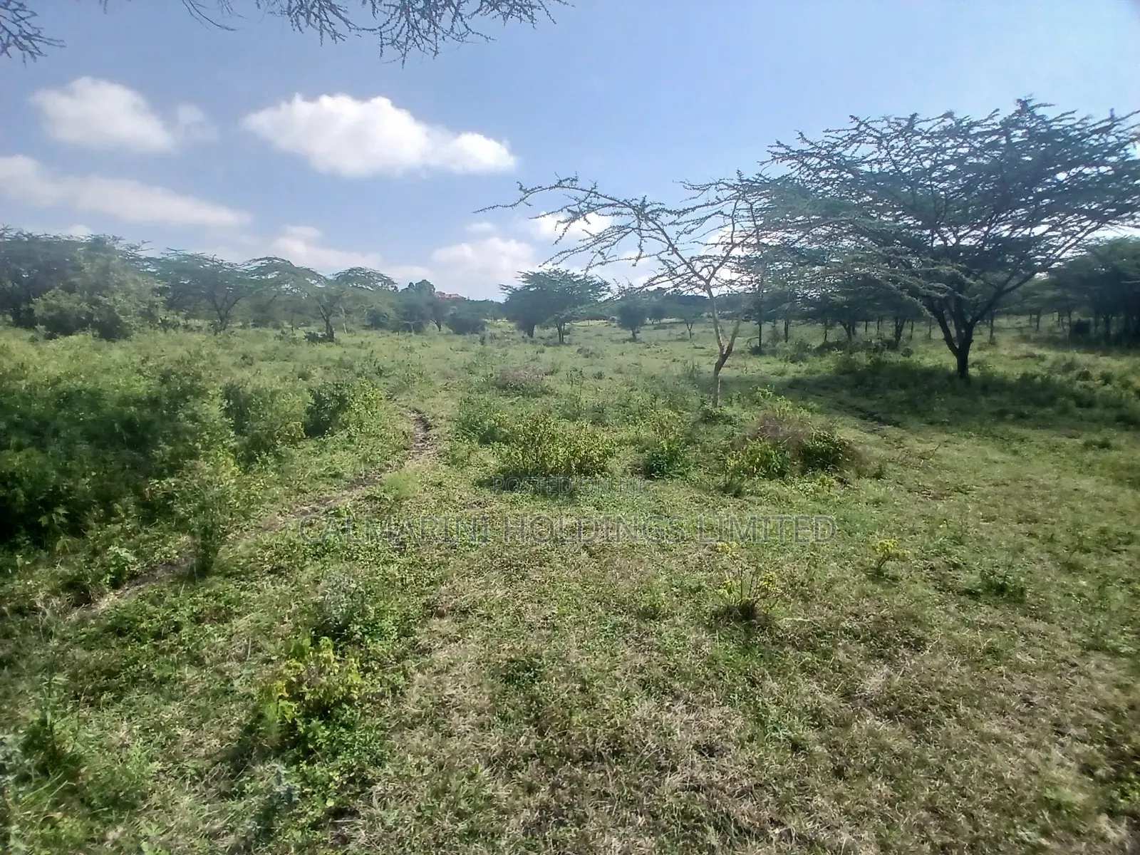 2 Prime Acre on Sale in Rimpa, Ongata Rongai 300 Metres Off Tarmac in Rimpa