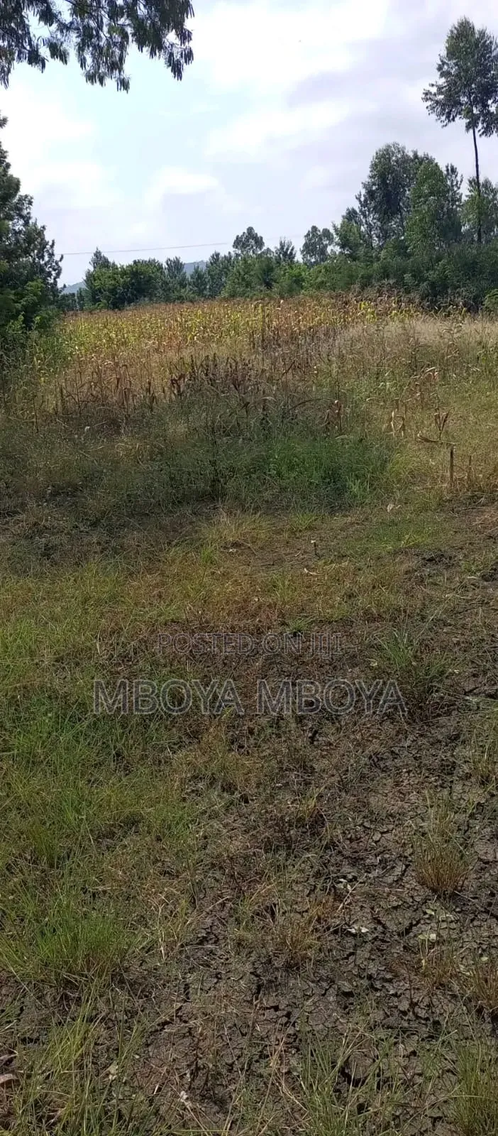 1/2 an Acre Land for Sale in Runda Mimosa in Runda